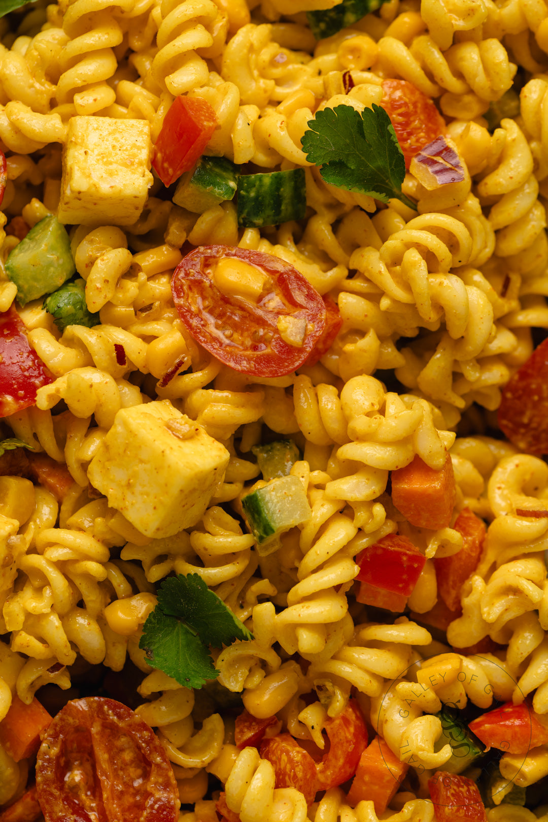 Creamy Curried Pasta Salad with Paneer - Semi- Exclusive - SET 2